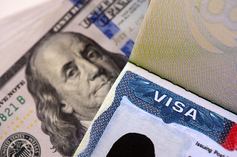Visa E-2